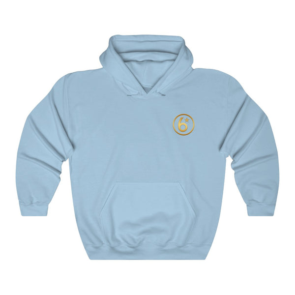 6* - Circle Logo - Unisex Heavy Blend™ Hooded Sweatshirt