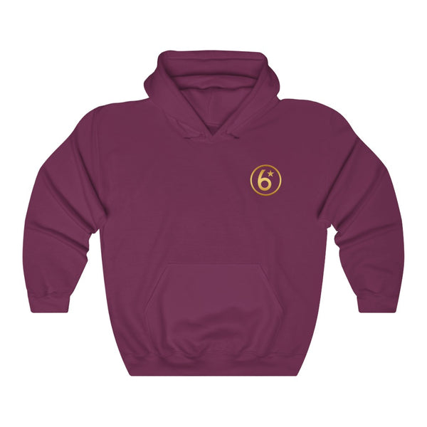 6* - Circle Logo - Unisex Heavy Blend™ Hooded Sweatshirt